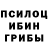Галлюциногенные грибы Psilocybine cubensis Xllskax Xkxkakzkz