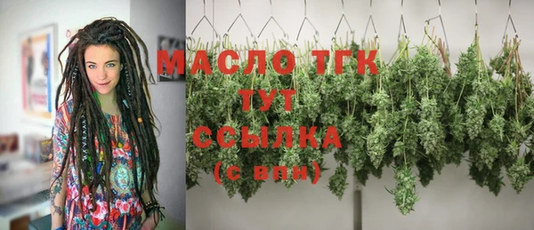 Альфа ПВП Бородино