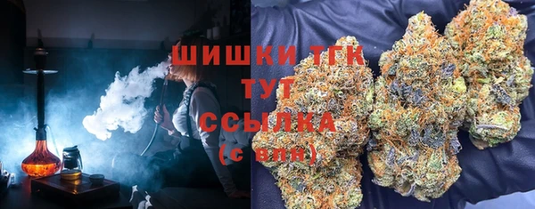 Альфа ПВП Бородино