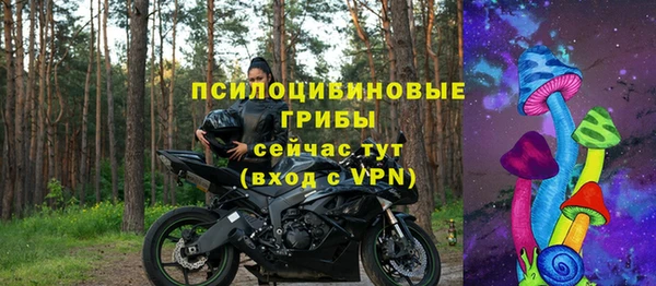 Альфа ПВП Бородино