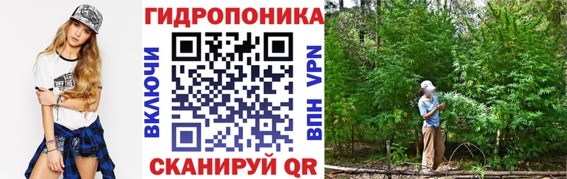 Каннабис ГИДРОПОН наркошоп Дорогобуж